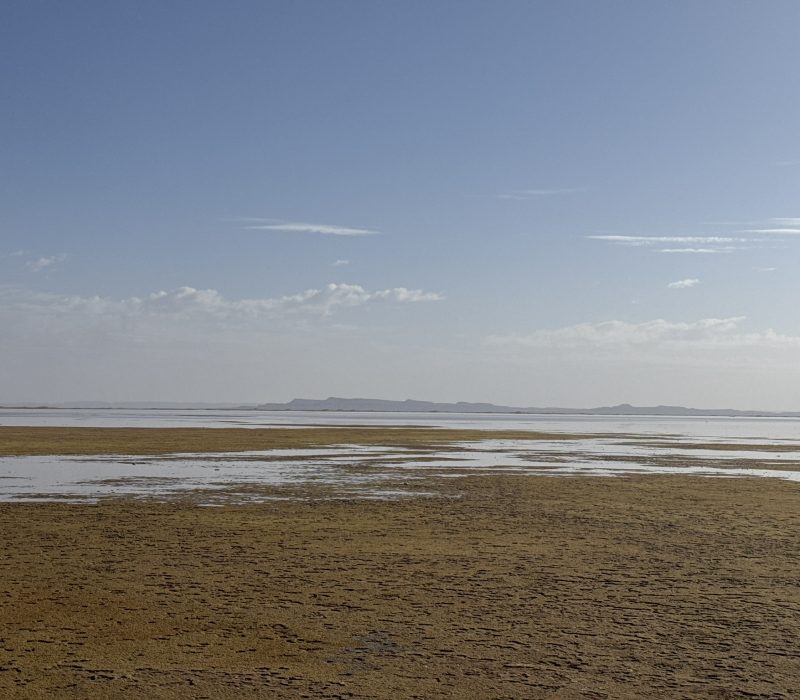 00062919-567B-4DF7-988D-30941A1F316B_1_102_o