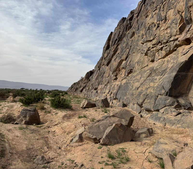 023DA9B3-EF64-449C-9528-8EC0E5B94BCE_1_102_o