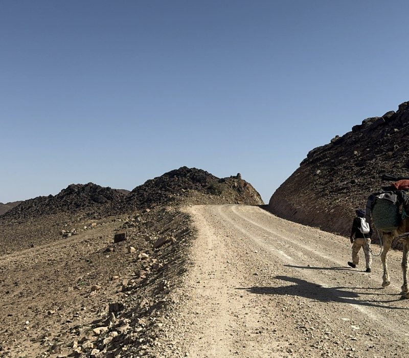 034AFE44-1537-4FEF-A8A8-9BF7D02CD325_1_102_a