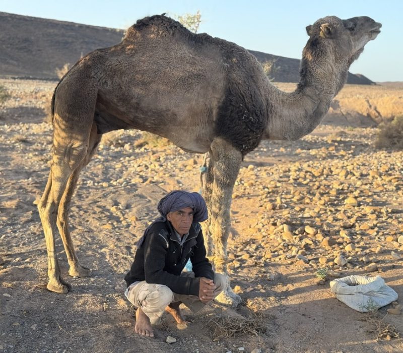 0365E500-8761-4ABF-9257-589A5C4FB713_1_105_c