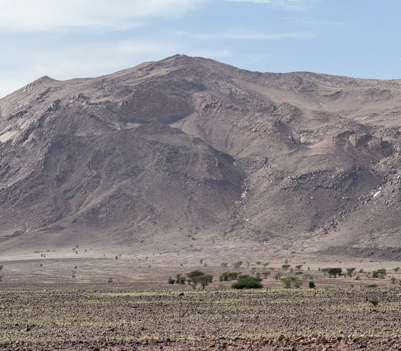 0375F1B8-EABC-4835-93C8-6E64E36D921C_1_102_o