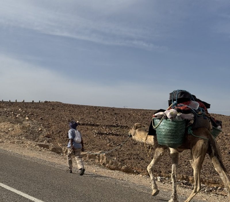 043419D0-AA8F-4AE3-B943-EDC1821FC720_1_105_c