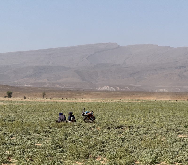 0E756370-BFF6-45F6-A3DC-9E59F0AC5876_1_102_o