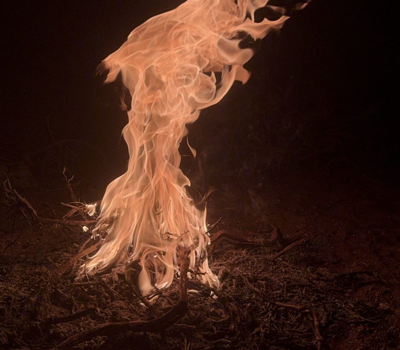 109FD670-EAC8-42A1-89A0-B38B87B27A69_1_102_a