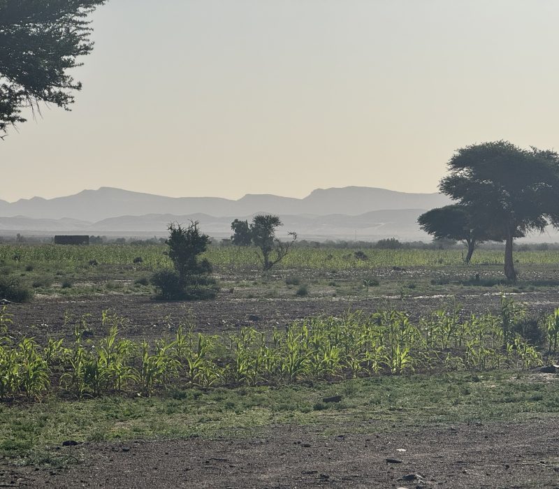 154FD537-2341-47E3-90C7-AFFC85872020_1_102_o