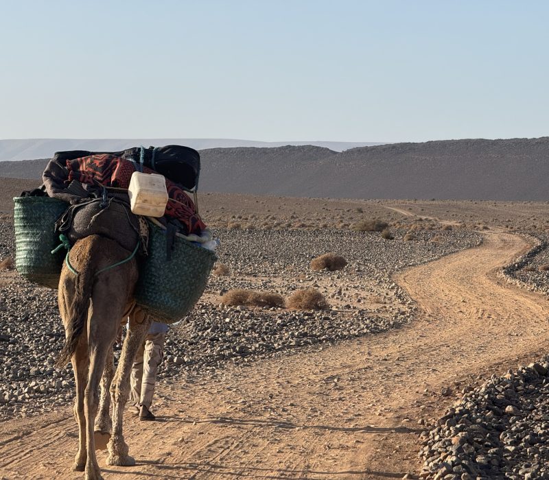 15720E0D-9834-4063-875C-A4FD18F24FDB_1_102_o