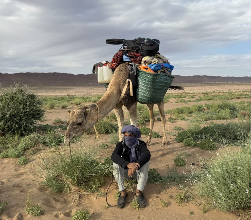 190DC0B5-7DCF-4EA5-8E10-E788508424C0_1_102_a