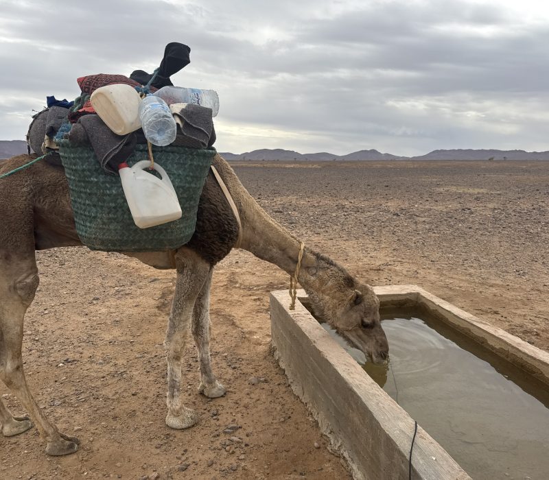 1935C285-88D3-432C-B940-7B5F90078DB1_1_102_o