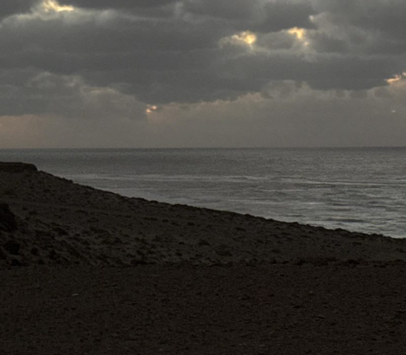 199D6654-32F9-4F85-88E6-FA92A84A87F9_1_102_o