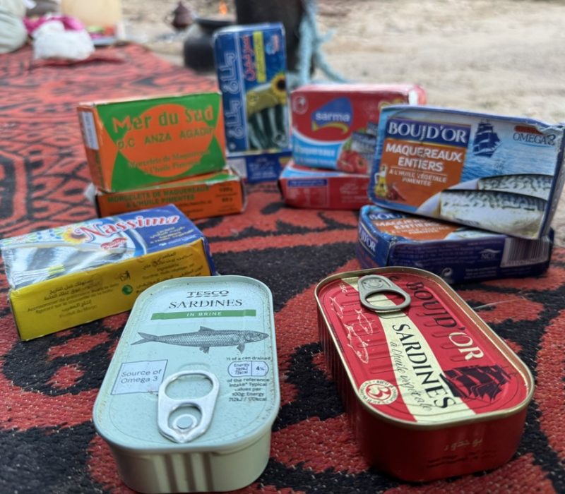 1B5C03D6-9A97-4F45-882D-1F9AD9B08709_1_105_c