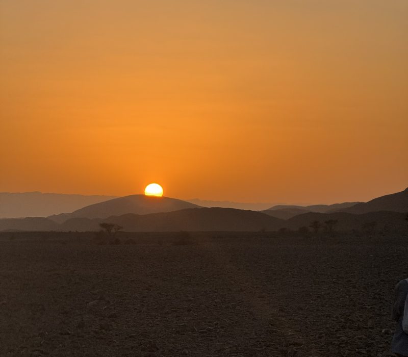 2B28C037-547C-49A4-AD7C-DD0AEE0387EF_1_102_o