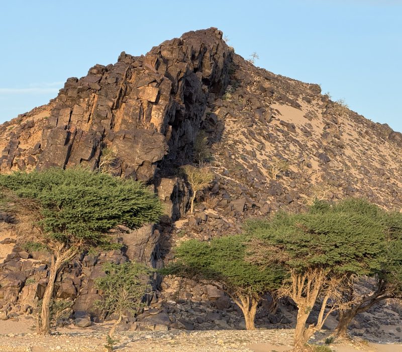 3598C696-C1EC-44AE-AA44-3E08615D37CB_1_102_o