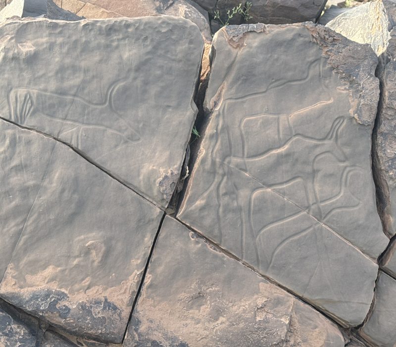 3E16CFAC-9145-441D-8AE8-00F1A2DC751D_1_102_o