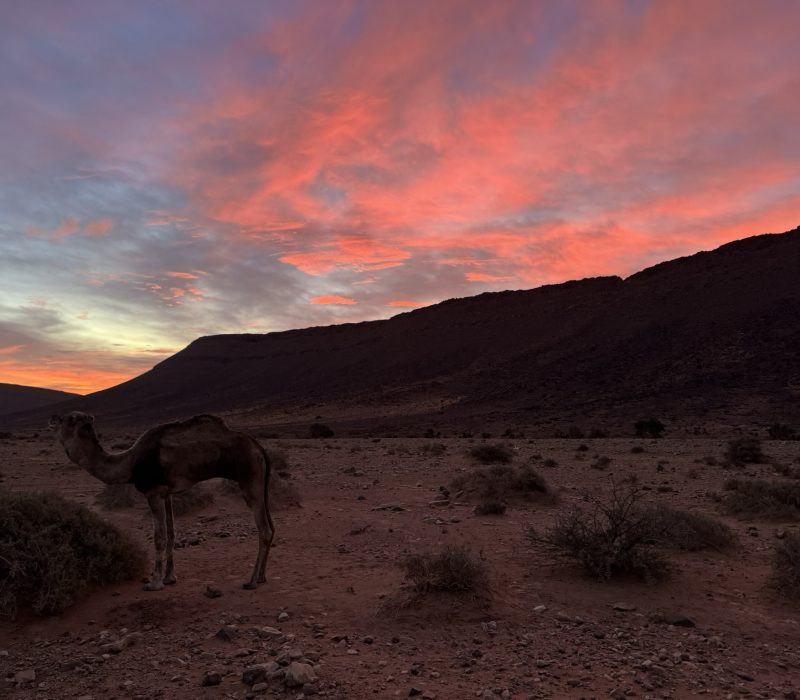 3E99FB13-1A0F-416F-B9AD-F2286CA52F63_1_102_o