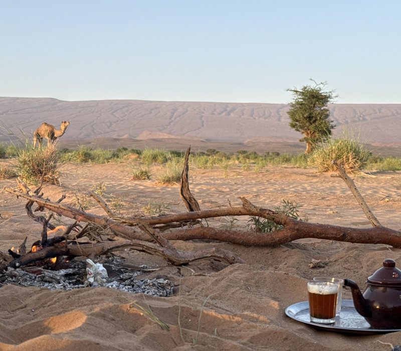 41E897E0-9CFD-4961-B97E-AC825F47262A_1_102_o