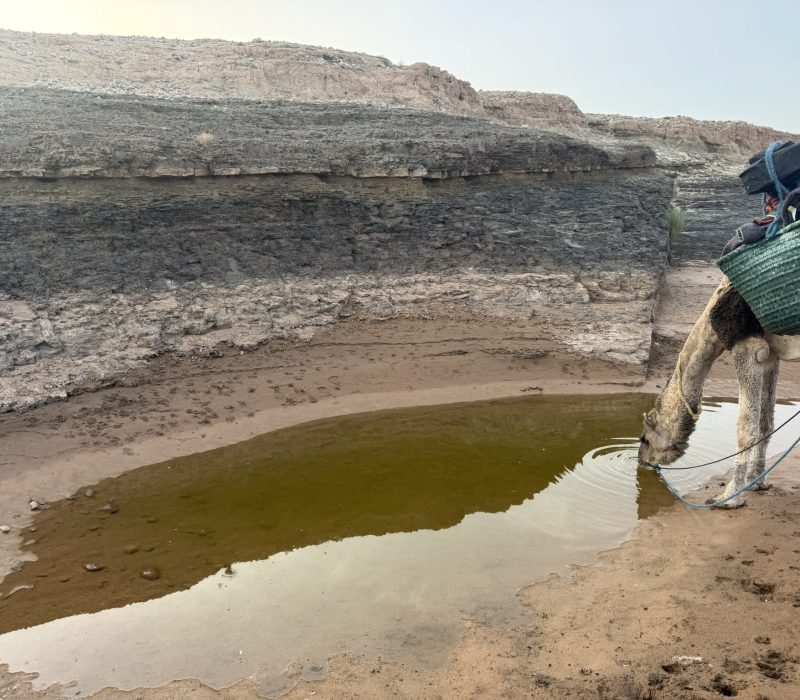 472C6C80-FFE7-42DB-B7C3-2216942923CA_1_102_o