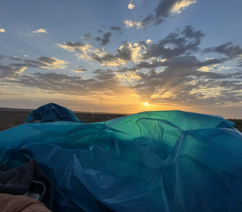 4844C417-8BE5-4B41-94E9-72984423349D_1_102_o