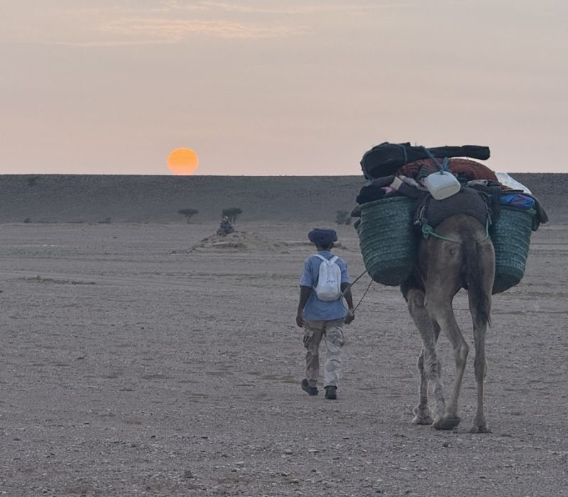 49593A83-9B60-488C-9A23-49E44C3EB424_1_105_c