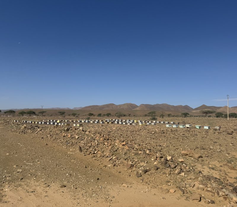 4AD1329F-1B8A-43C7-A7D6-46875E265D22_1_102_o