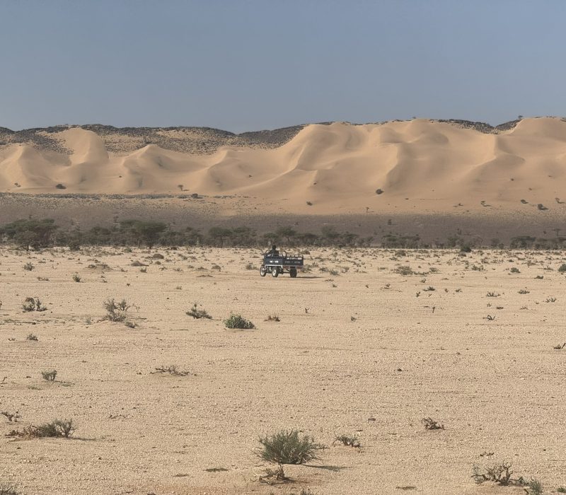 4DBD2E8F-D4E2-429F-AB5E-20B1F92BB1CC_1_102_o