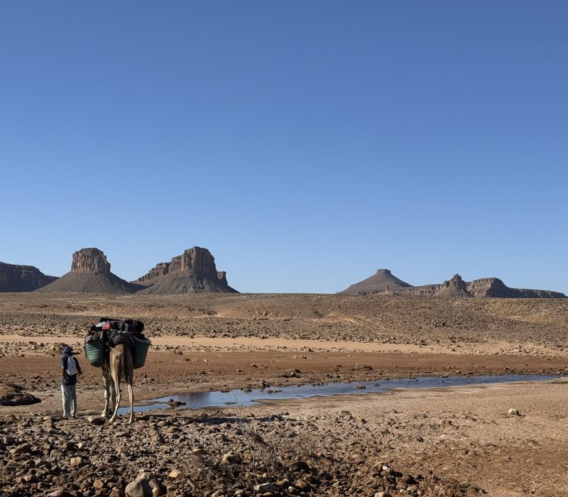 57D72240-E0F0-4E59-9A39-AE81F2D9D95A_1_102_o