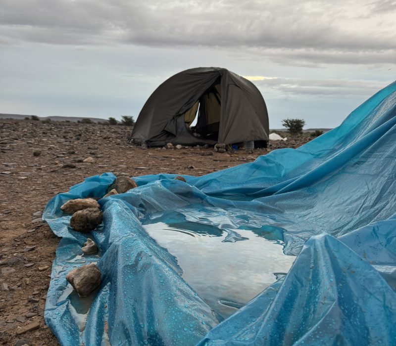 5A7BC6AF-0DFA-45ED-8842-F5B965539D58_1_102_o