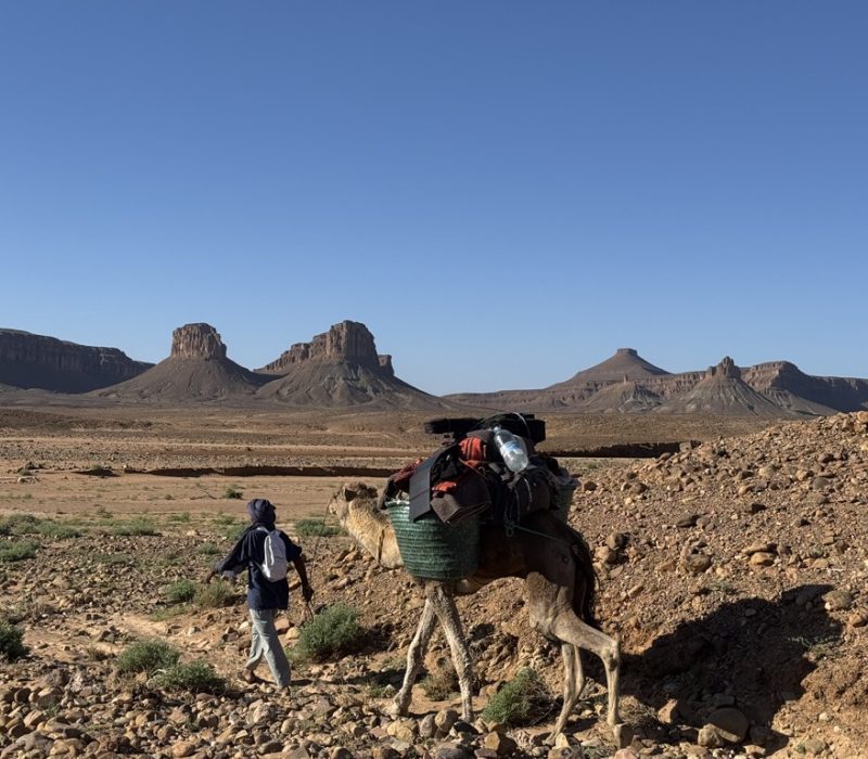 5CD63ADD-738A-46F3-BF16-94E6F4DAC4E8_1_105_c