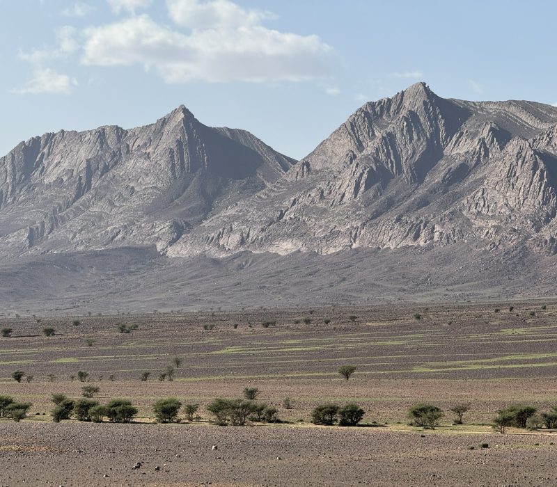 5CF86B78-CAE9-4411-84AD-55743AFAD45D_1_102_o