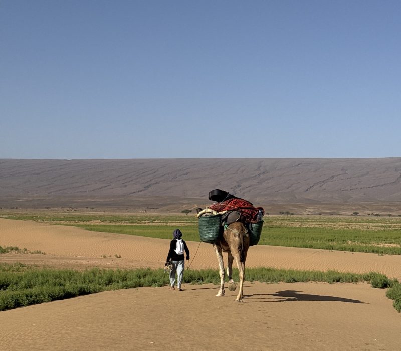 5EF0EFCC-1670-4416-BFAC-9F0809DBE7A0_1_102_o