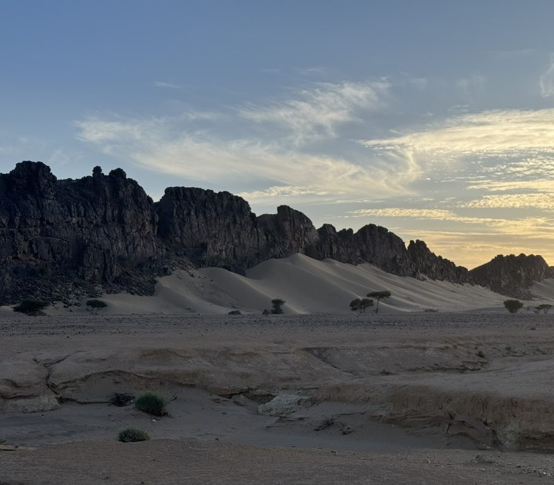 65DB34DD-F01D-41B3-B230-E4C990DE6745_1_102_o