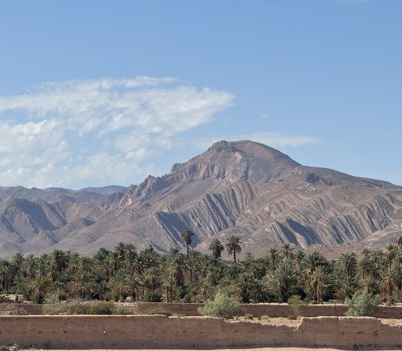 67304F0D-2670-44AE-AC14-640F7CBF0A25_1_102_o