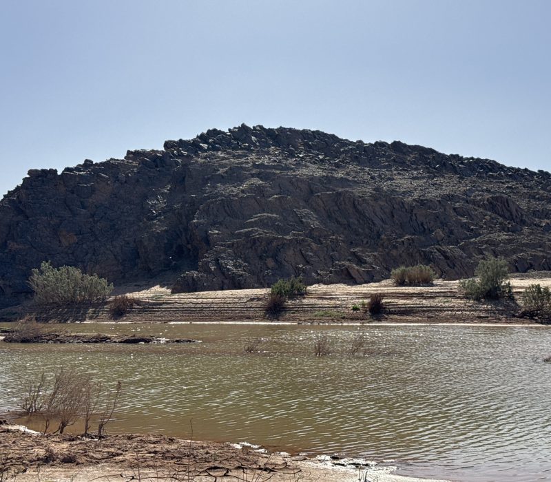 6AC538B2-D3A9-4F85-B909-396697F3B2F8_1_102_o