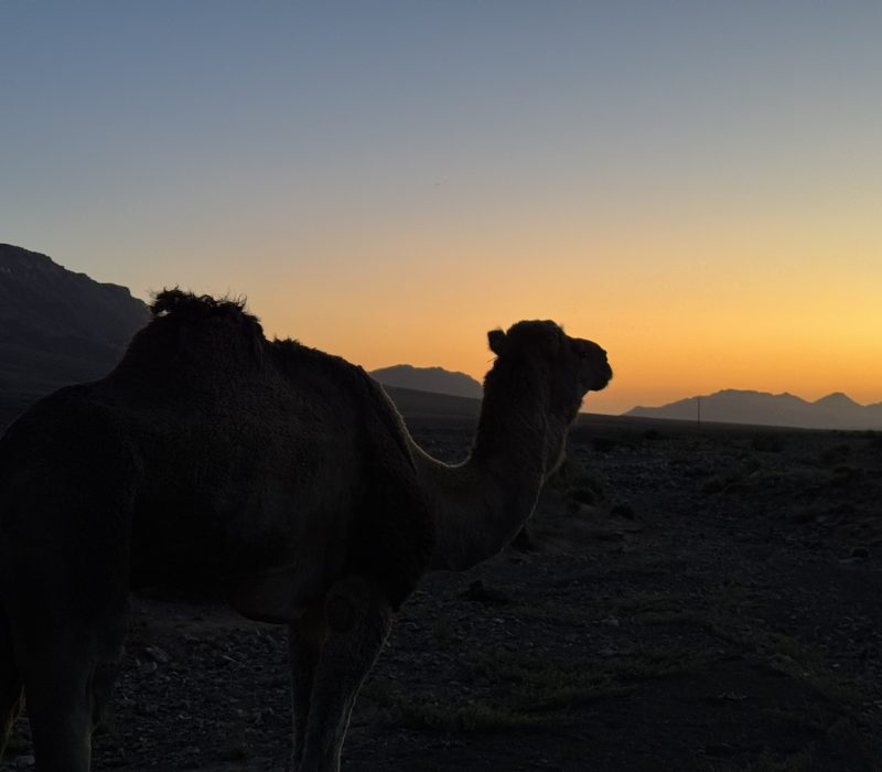 6DD54BA3-998D-4275-A1C2-A15AFDE72BA1_1_102_o