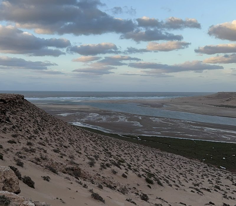 6F2238C9-D7BA-437E-9419-2D110528834C_1_102_a