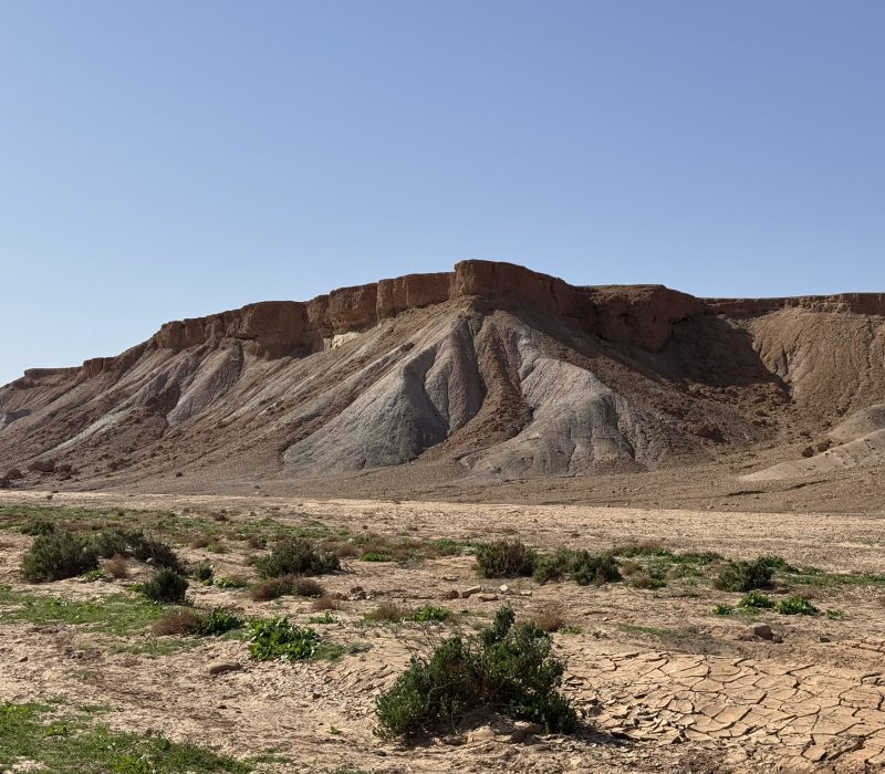 72AFA68B-7782-4C6E-BE08-8F119DA5986E_1_102_o