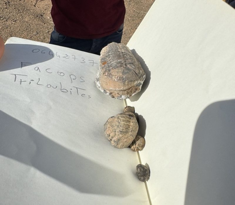 754BFA8A-2D93-4BA7-811E-893D56EE62BD_1_105_c