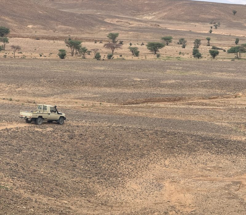 781AECA8-8500-4CE4-AD17-B3F72EC4E3EF_1_102_o