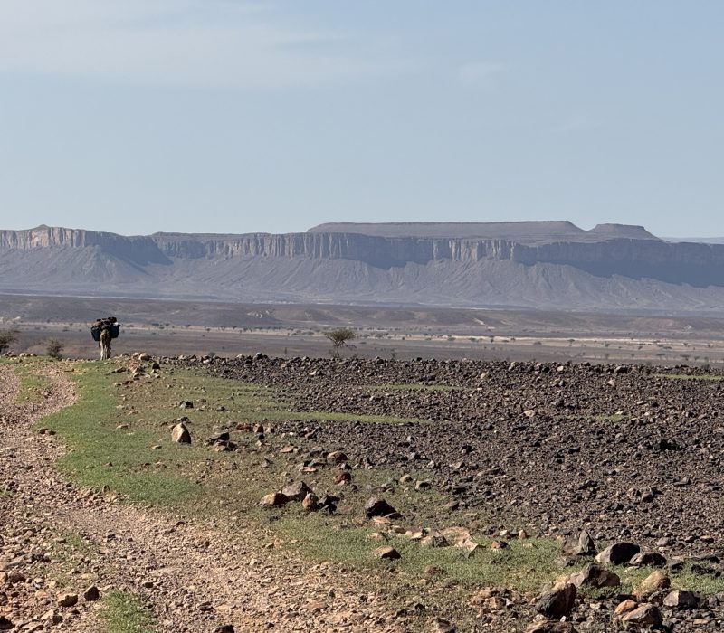 7AE7D94B-F5B2-49A5-A2BD-FEEDDB22FE33_1_102_o