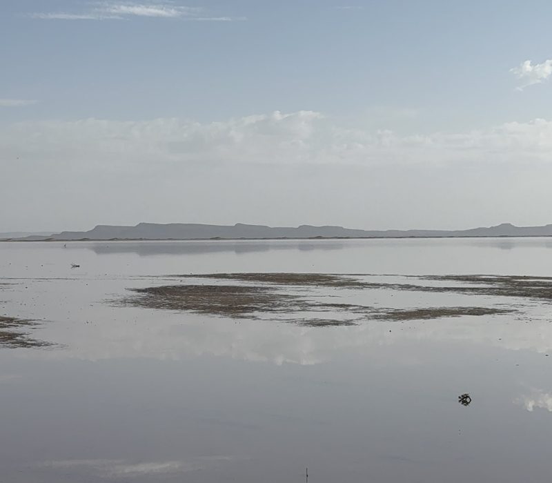 7BC03D23-71CE-4763-A647-F5C78EF95871_1_102_a