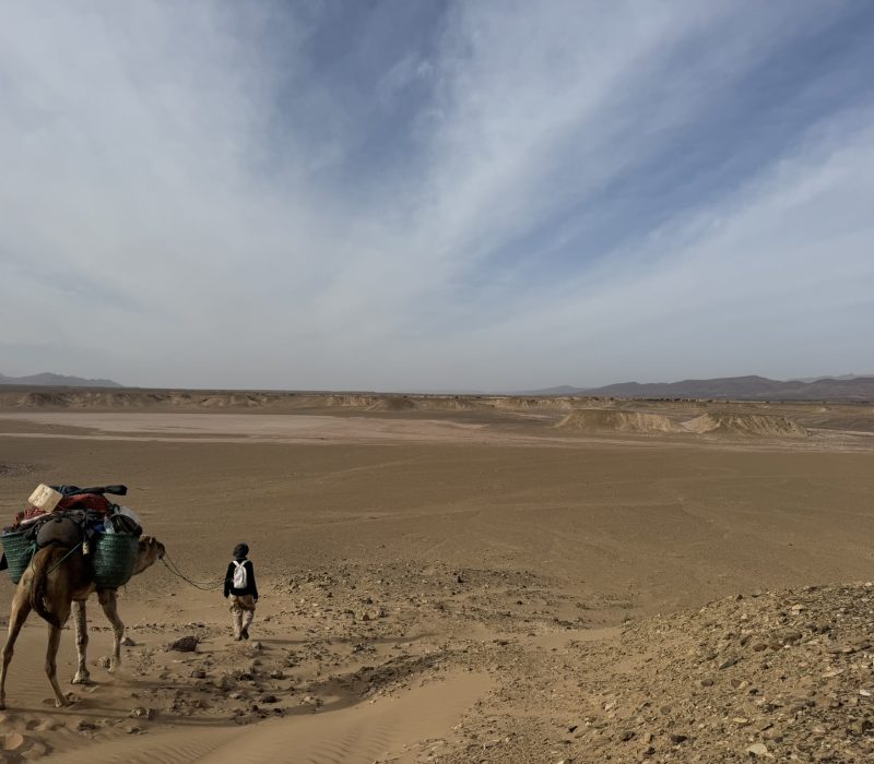 7C23B0D7-835E-4C36-847B-7CDCE9B194B7_1_102_o