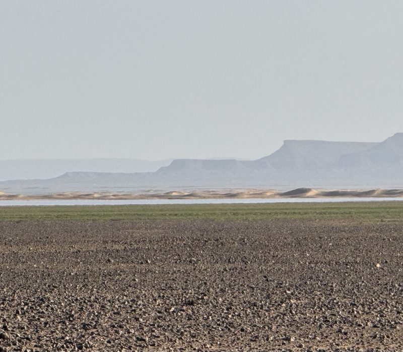 7EDB7CDF-3037-4D0A-9C87-5021C9F09BA4_1_102_a