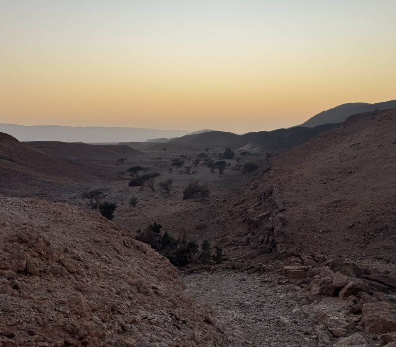 7EFD6433-E918-4D6A-8CEE-A8A282E255A5_1_102_o