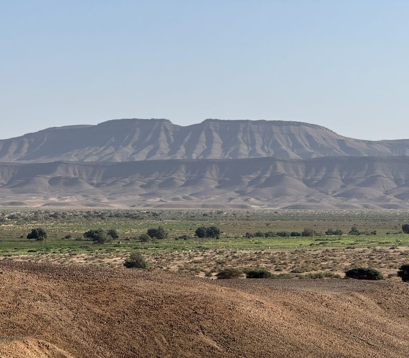 7FA71873-F83E-43A9-B2A4-E75C193C3300_1_102_o