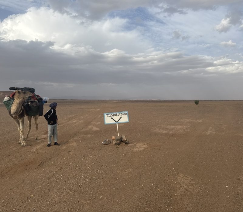 7FF03A78-0C8E-4C34-A444-9329DAC1A615_1_105_c