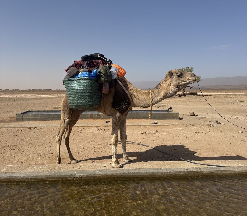 82EC19B7-578C-421D-8E60-429DC82A0D5A_1_102_o