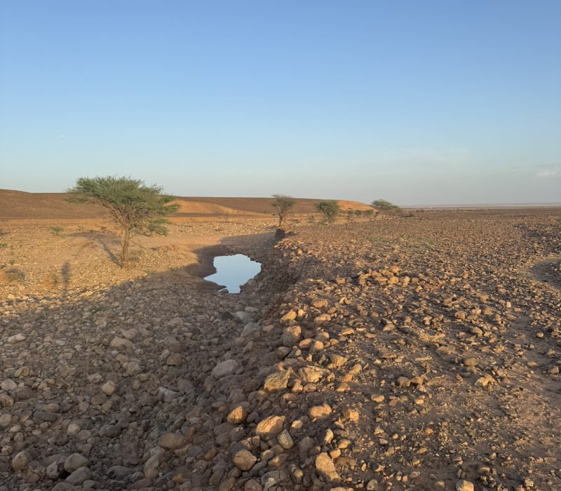 85C1CEBA-4444-4FE1-B2C8-75FC6D9A5728_1_102_o