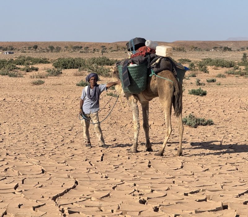 8E083AAB-4CDA-4B08-8629-997562CB884B_1_105_c