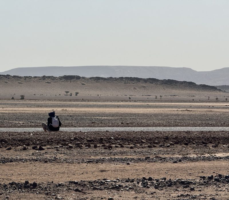 8E73B8D7-5A8D-4577-921C-4027DF84E27C_1_102_o