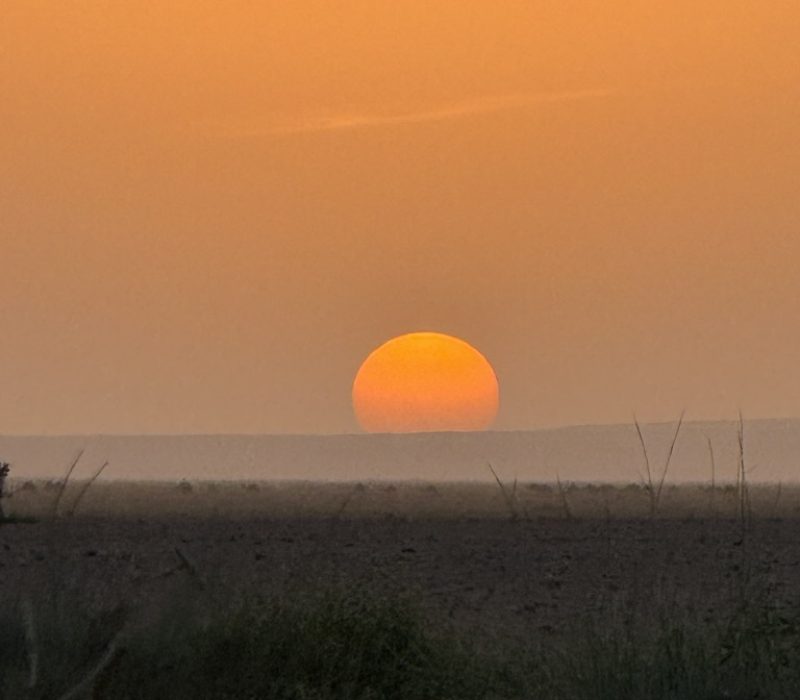 931E2117-EF4F-4169-A196-375F2C752C24_1_105_c