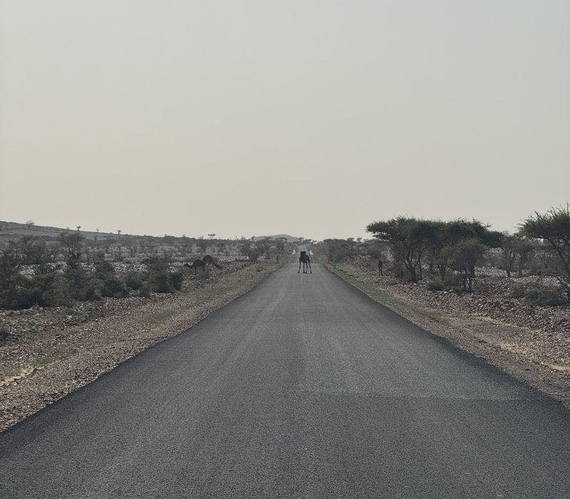 96F43D84-D307-49B4-ADF6-F736026A000F_1_102_o